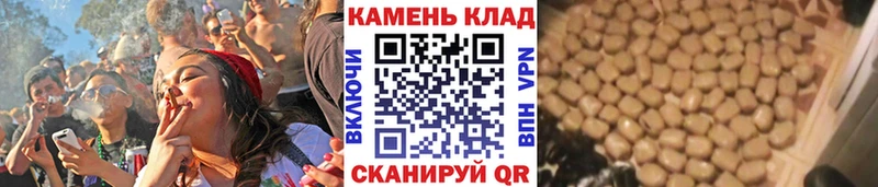 ГАШ Изолятор  Прокопьевск 