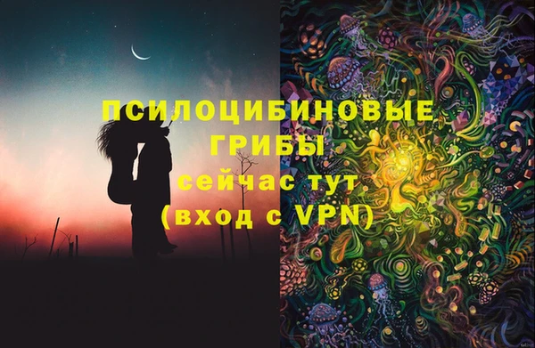 COCAINE Богородицк