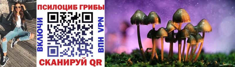 мега ONION  Прокопьевск  Галлюциногенные грибы Psilocybe 
